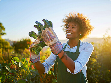 Proses pengolahan ayam FreshChicken