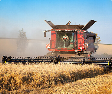 Memilih Potongan Ayam Tepat untuk Tiap Masakan