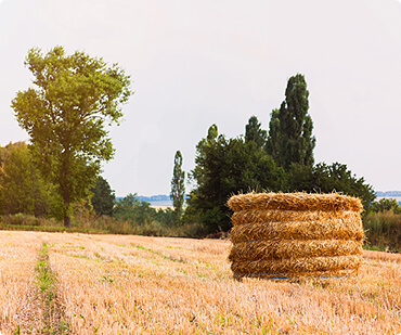 Menjaga Sertifikasi Rantai Dingin FreshChicken