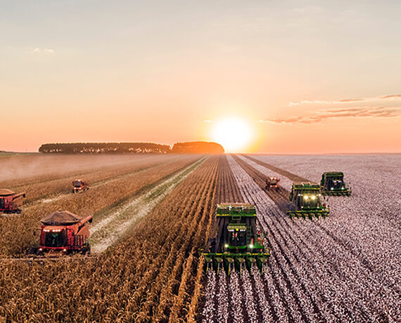Tim Operasional Rantai Dingin FreshChicken