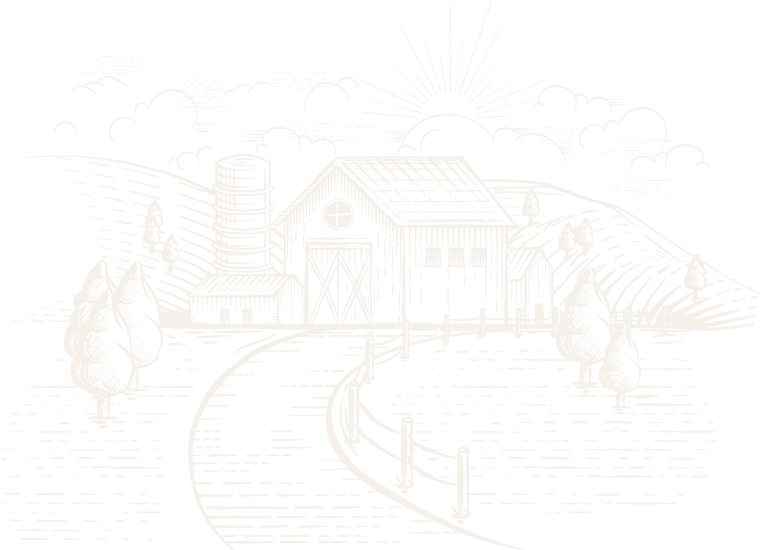 Ilustrasi Peternakan Ayam